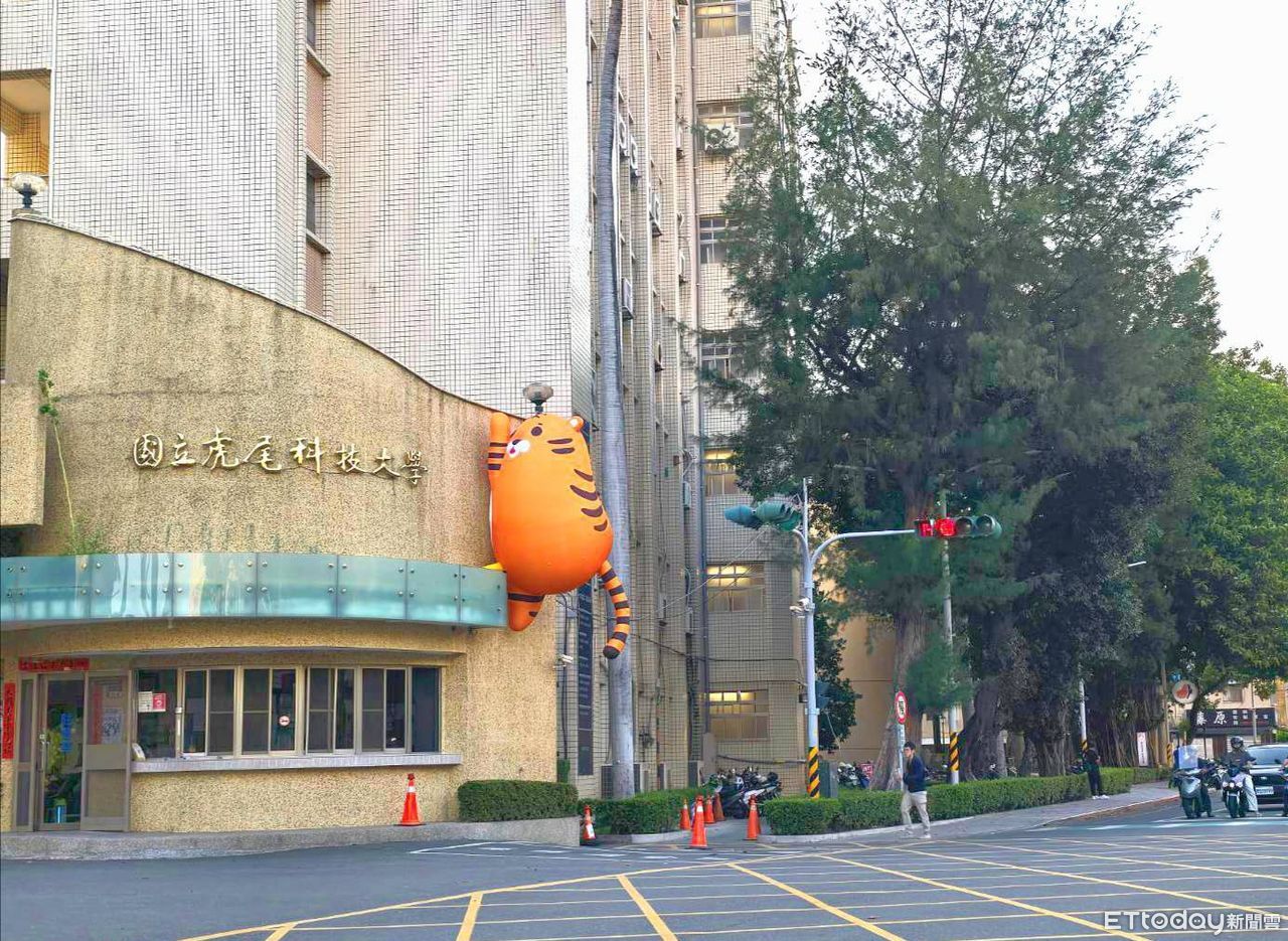 超萌「爬牆虎」現身虎科大　網笑：阿嬤養的胖橘來了！