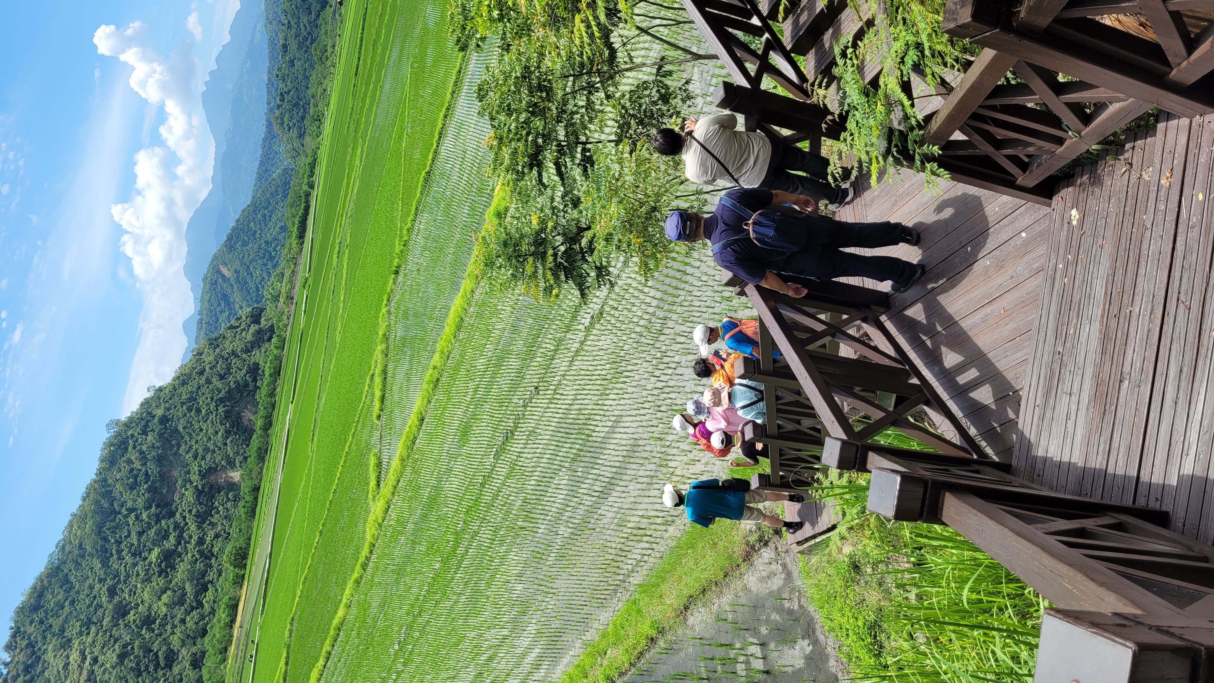 ▲南安有機田區。（圖／玉山國家公園管理處提供）