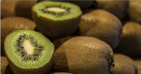 有研究證實睡前吃奇異果能改善睡眠障礙。（示意圖／Pixabay）