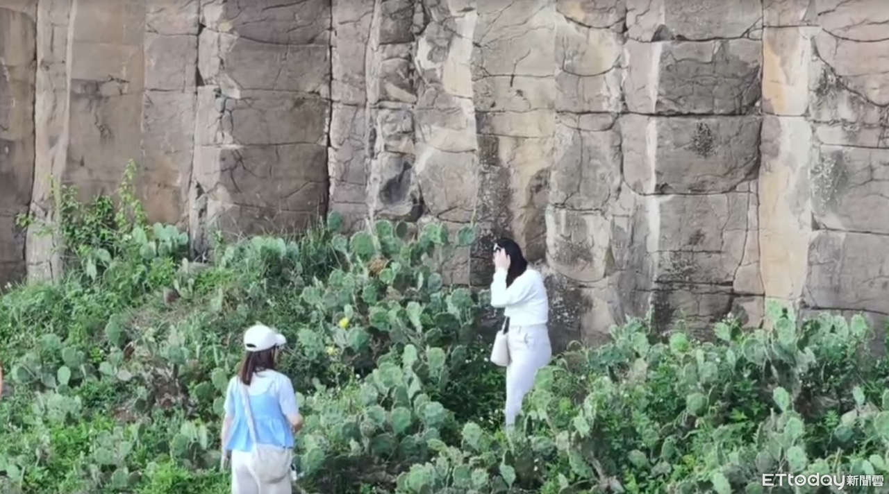 不怕罰百萬！女闖仙人掌區「攀澎湖玄武岩」　專家曝恐怖危機