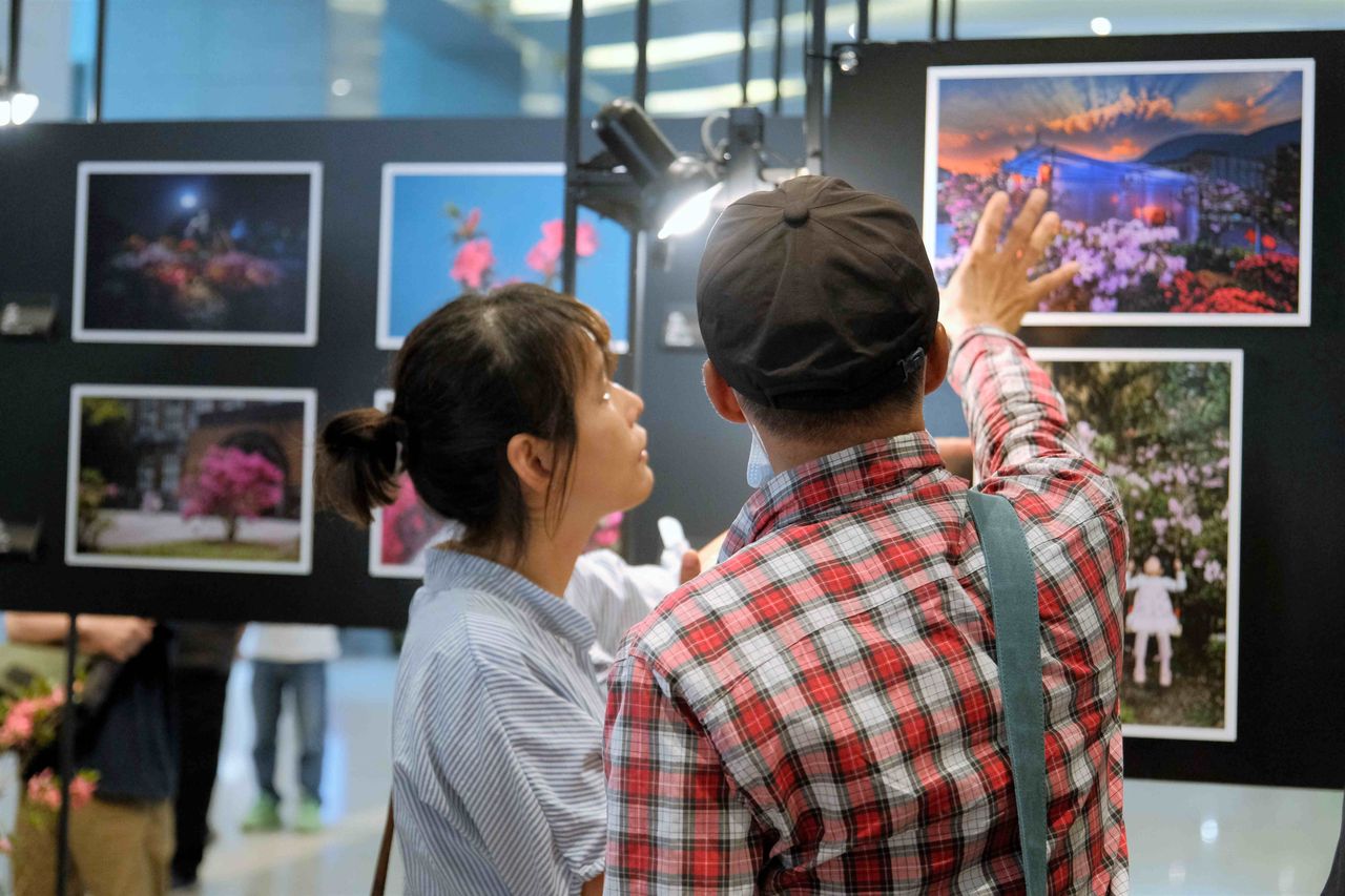 新北萬金杜鵑攝影展6／4開展　觀展贈原生樹苗推動綠生活
