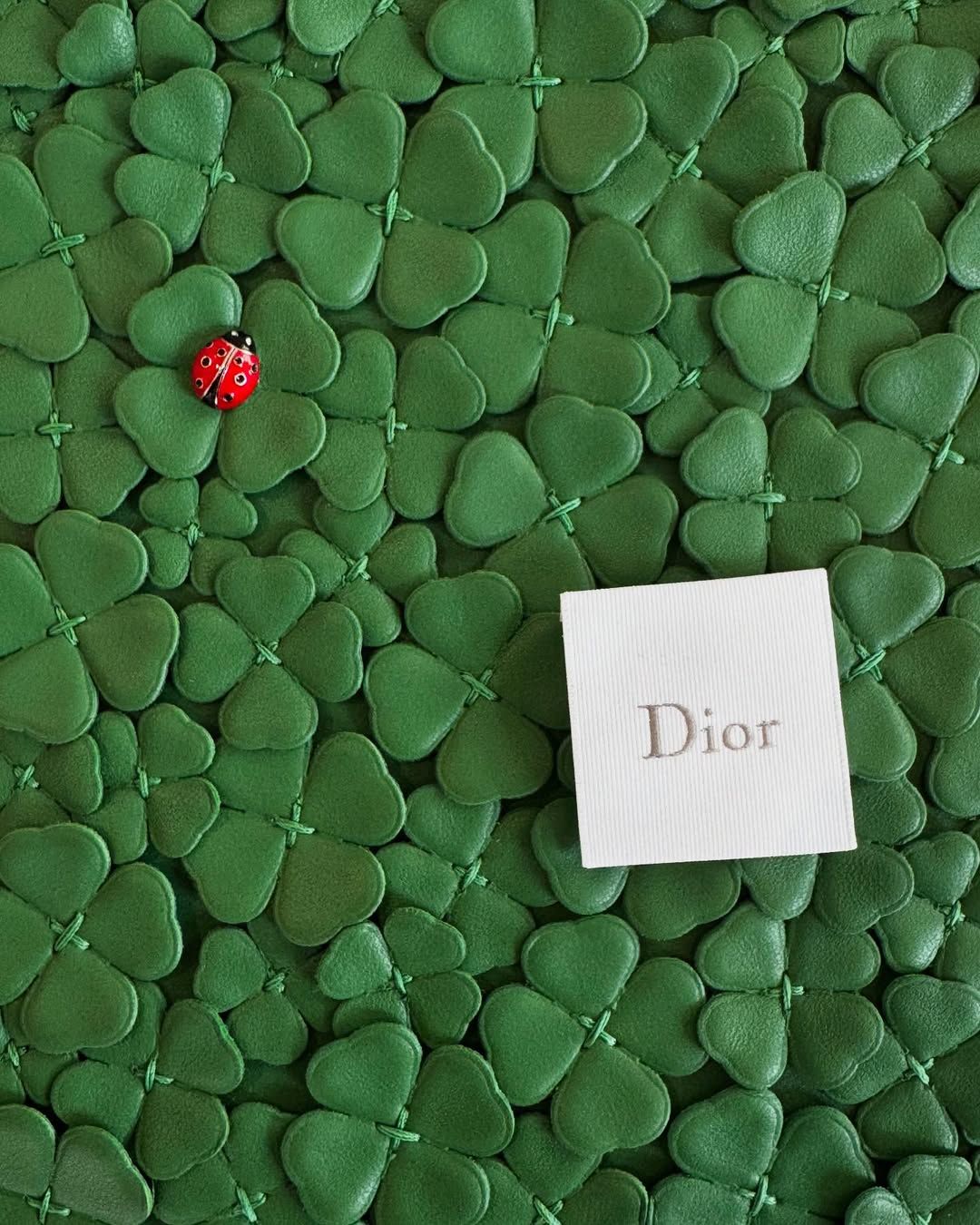 ▲DIOR Jonathan Anderson。（圖／翻攝DIOR IG）