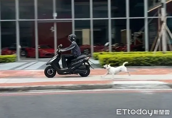 ▲。（圖／Threads@zoeadpps提供，請勿隨意翻拍，以免侵權。）