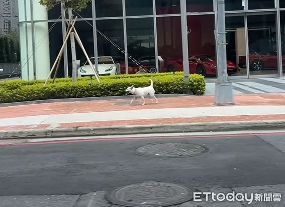 ▲。（圖／Threads@zoeadpps提供，請勿隨意翻拍，以免侵權。）