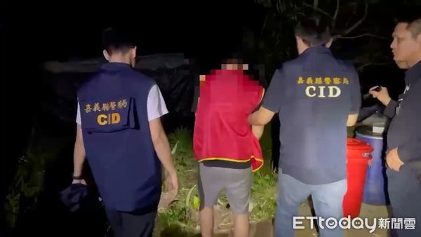 ▲▼       眼尖警一眼辨出大麻花，嘉義縣市大麻種植場遭警查獲      。（圖／記者翁伊森翻攝）