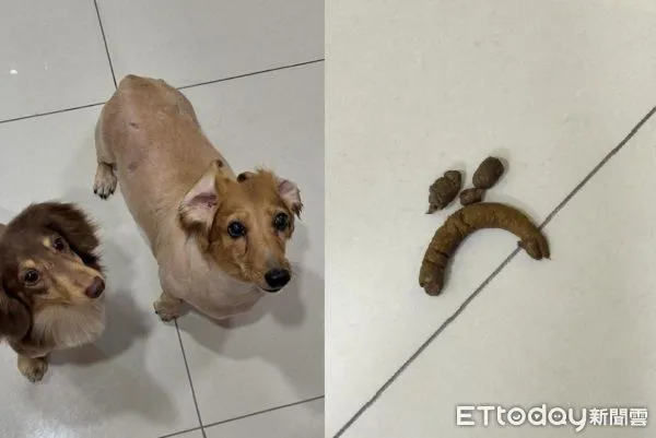 ▲。（圖／Threads@@niou__________）