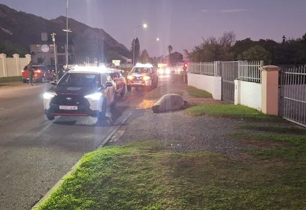 ▲。（圖／翻攝自Cape of Good Hope SPCA）