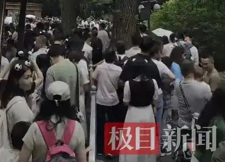 ▲▼大貓熊頂流「花花」端午人氣旺。（圖／翻攝自微博、極目新聞）