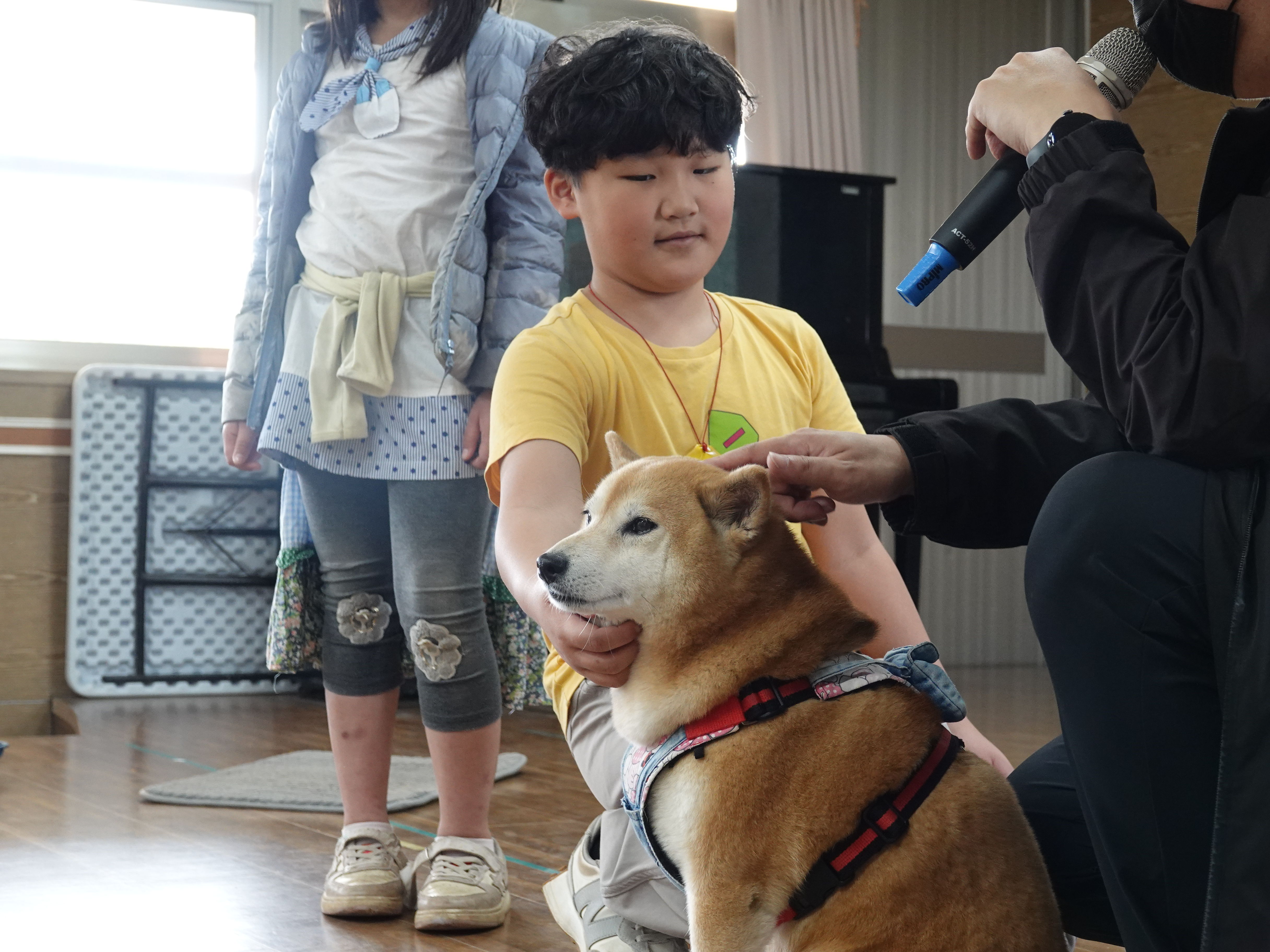 ▲新北動保處推生命教育 打造動物友善城市。（圖／新北市動保處提供）