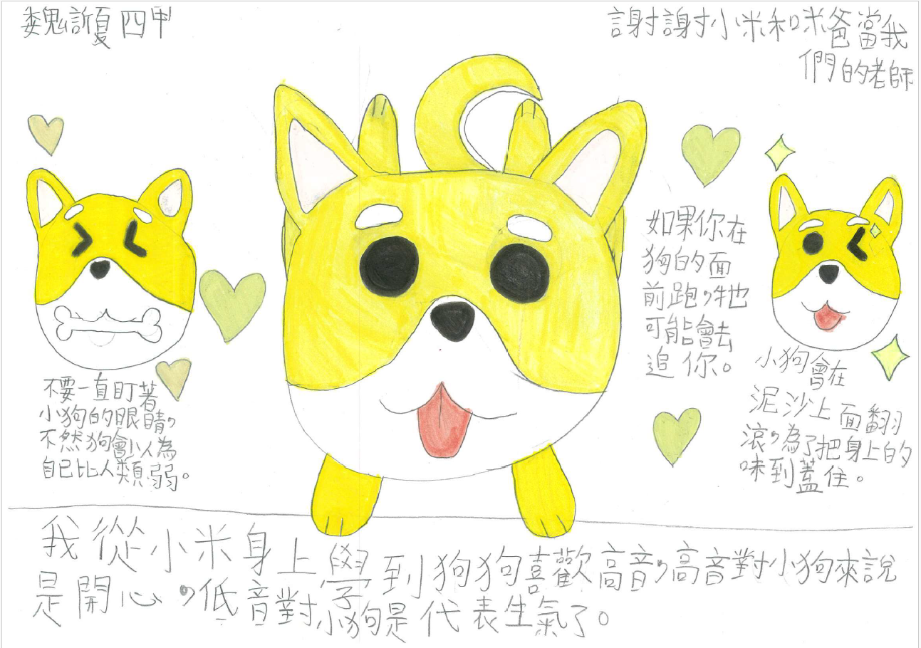 ▲新北動保處推生命教育 打造動物友善城市。（圖／新北市動保處提供）