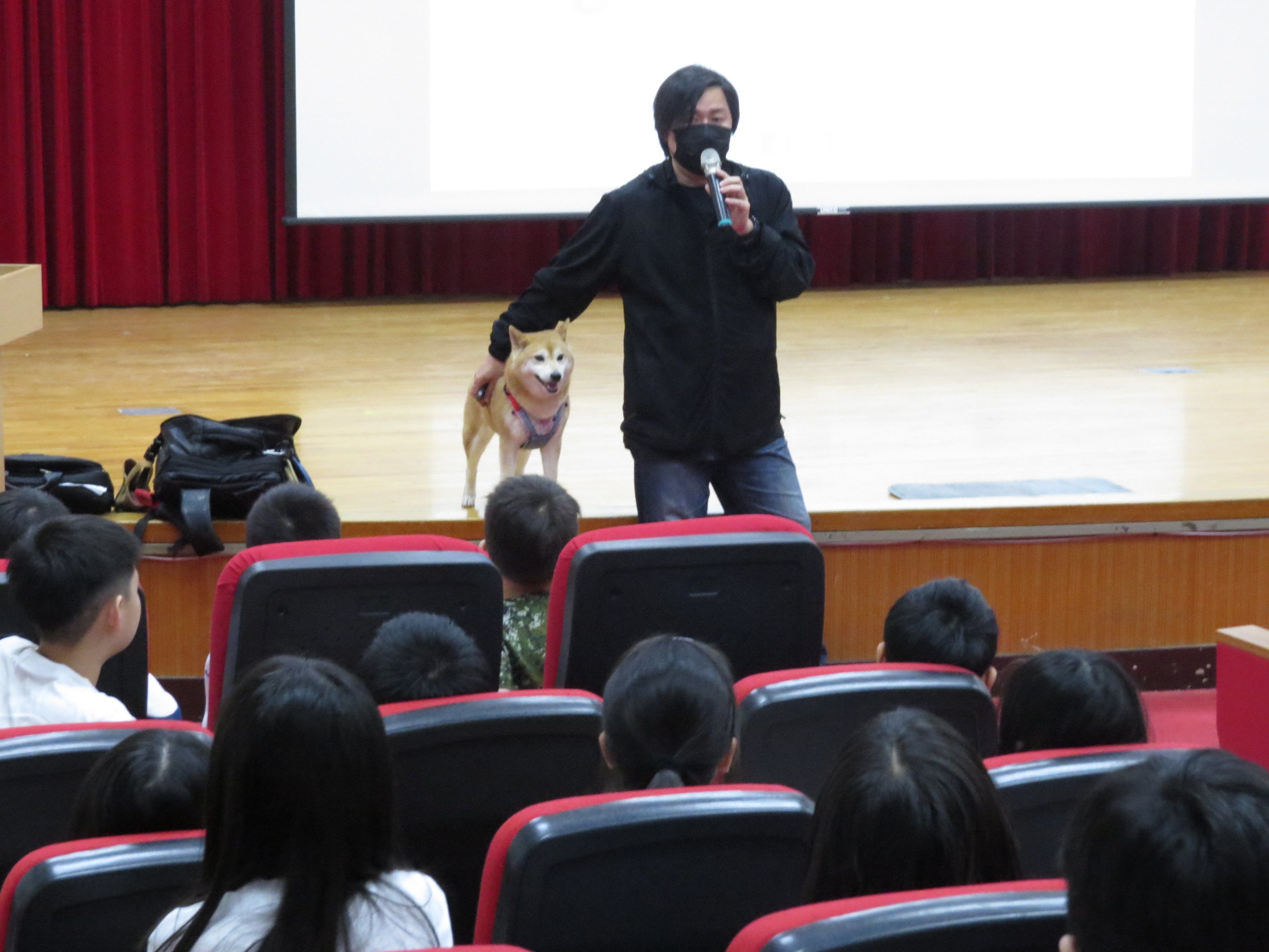 ▲新北動保處推生命教育 打造動物友善城市。（圖／新北市動保處提供）