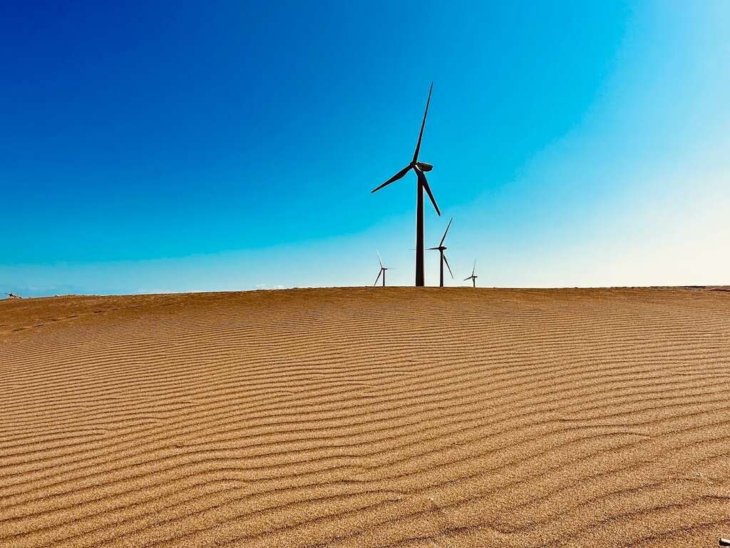 ▲▼桃園市政府觀光旅遊局,珍珠海岸,產業升級。（圖／桃園市政府觀光旅遊局提供）