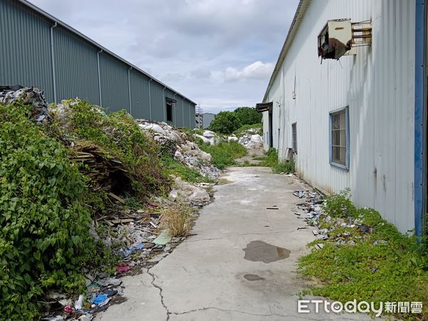 ▲台南市西港某地遭非法棄置廢木材，地主得自費清理，環保局籲加強土地管理。（記者林東良翻攝）