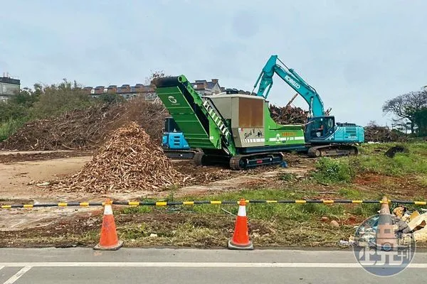 原本需移植的600多棵樹木，遭利德要求砍伐後絞碎成堆肥。（讀者提供）