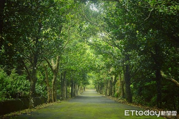 ▲墾管處8日舉辦古道尋根趣             。（圖／墾管處提供）