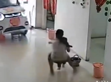 ▲▼11歲姐姐神救1歲妹。（圖／翻攝自微博）