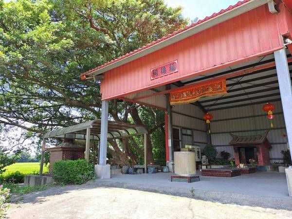 ▲林政賢推動「市公出巡桃園13區」遶境文化