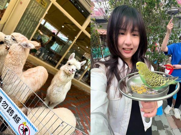 ▲▼三大私房高雄景點懶人包。（圖／ReadyGo提供）