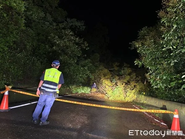▲里港警分局員警處理路樹傾倒             。（圖／記者陳崑福翻攝）
