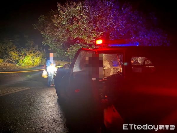 ▲里港警分局員警處理路樹傾倒             。（圖／記者陳崑福翻攝）