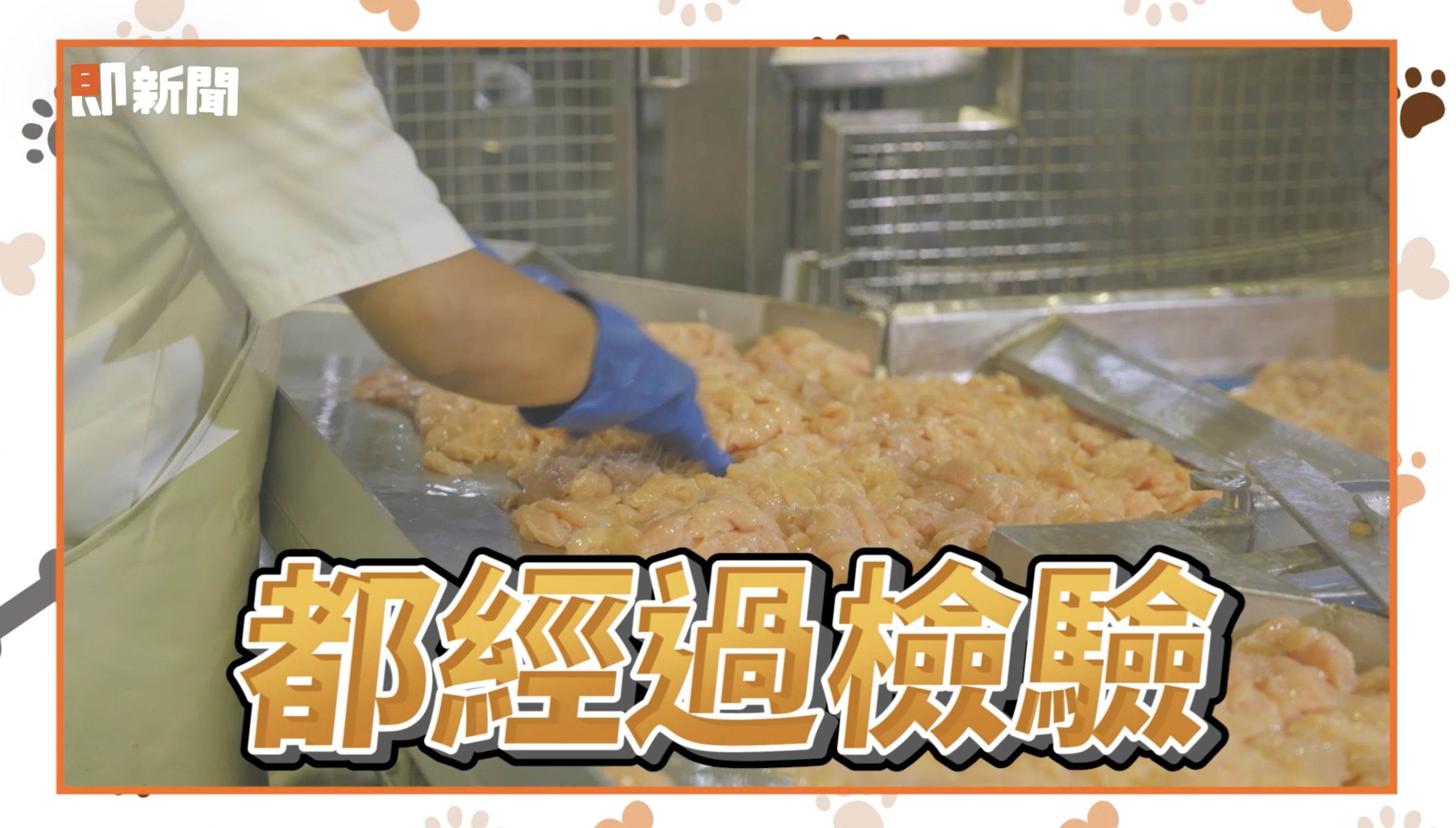 ▲▼西莎,寵物食品研發中心,瑪氏公司。（圖／取自影片）