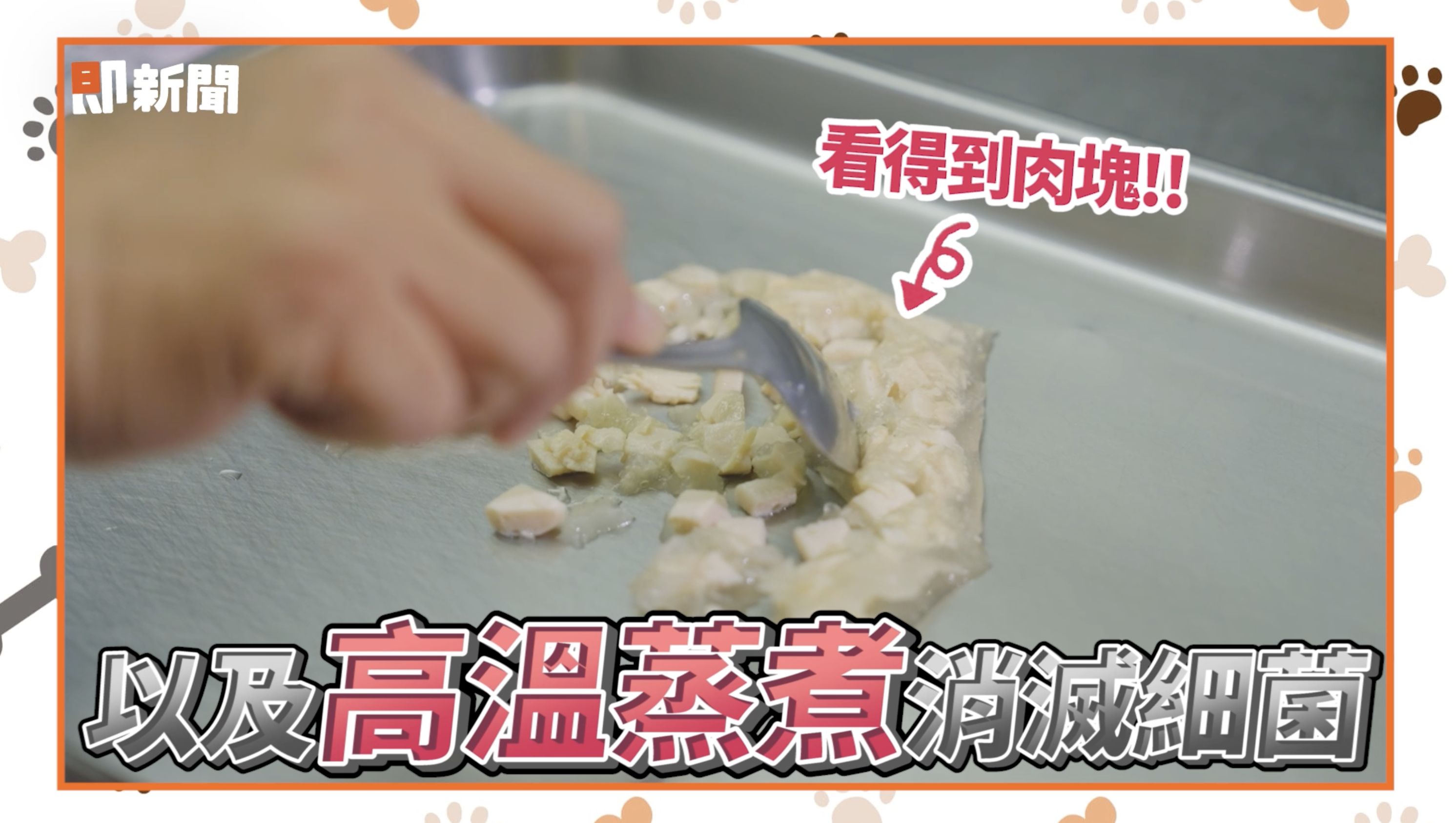 ▲▼西莎,寵物食品研發中心,瑪氏公司。（圖／取自影片）