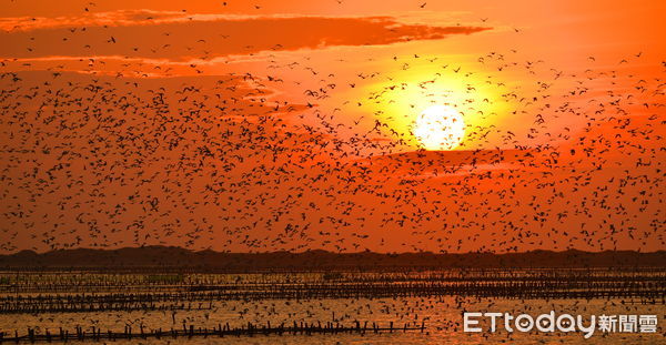 ▲雲嘉南管理處活化井仔腳瓦盤鹽田，推廣低碳旅遊與鹽業文化，榮獲「2025台灣觀光永續獎」銅級獎。（記者林東良翻攝，下同）
