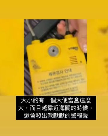 ▲南韓4海關包圍！林又立帶媽出國行李被鎖　搜出白色粉末愣：&hellip;是鹽。（圖／翻攝自林又立IG）