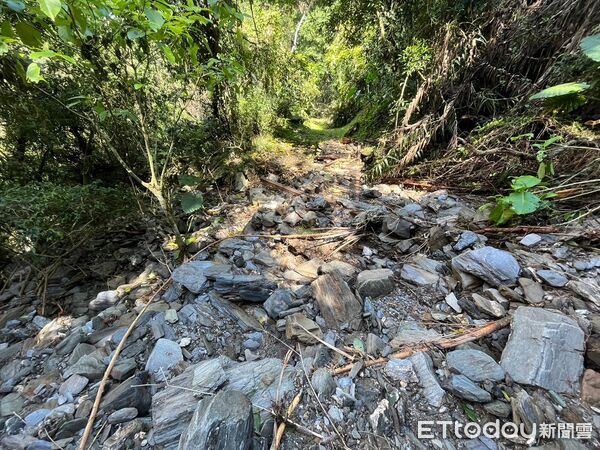 ▲▼花蓮分署為修復八通關越道路鹿鳴吊橋路段，培訓在地族人成為施工團隊，著手進行古道整修，為未來長期維護做準備。（圖／花蓮分署提供，下同）