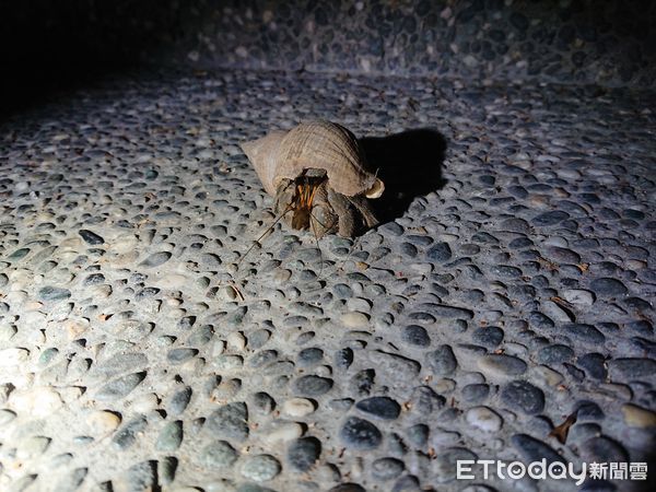 ▲▼全新亮點路線「串接「都歷園區」及「江賢二藝術園區」。（圖／東管處提供，下同）