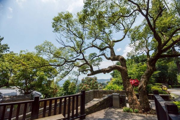▲北投春天酒店即日起至9月30日祭出「傘傘換泡湯」活動。（圖／春天酒店提供）