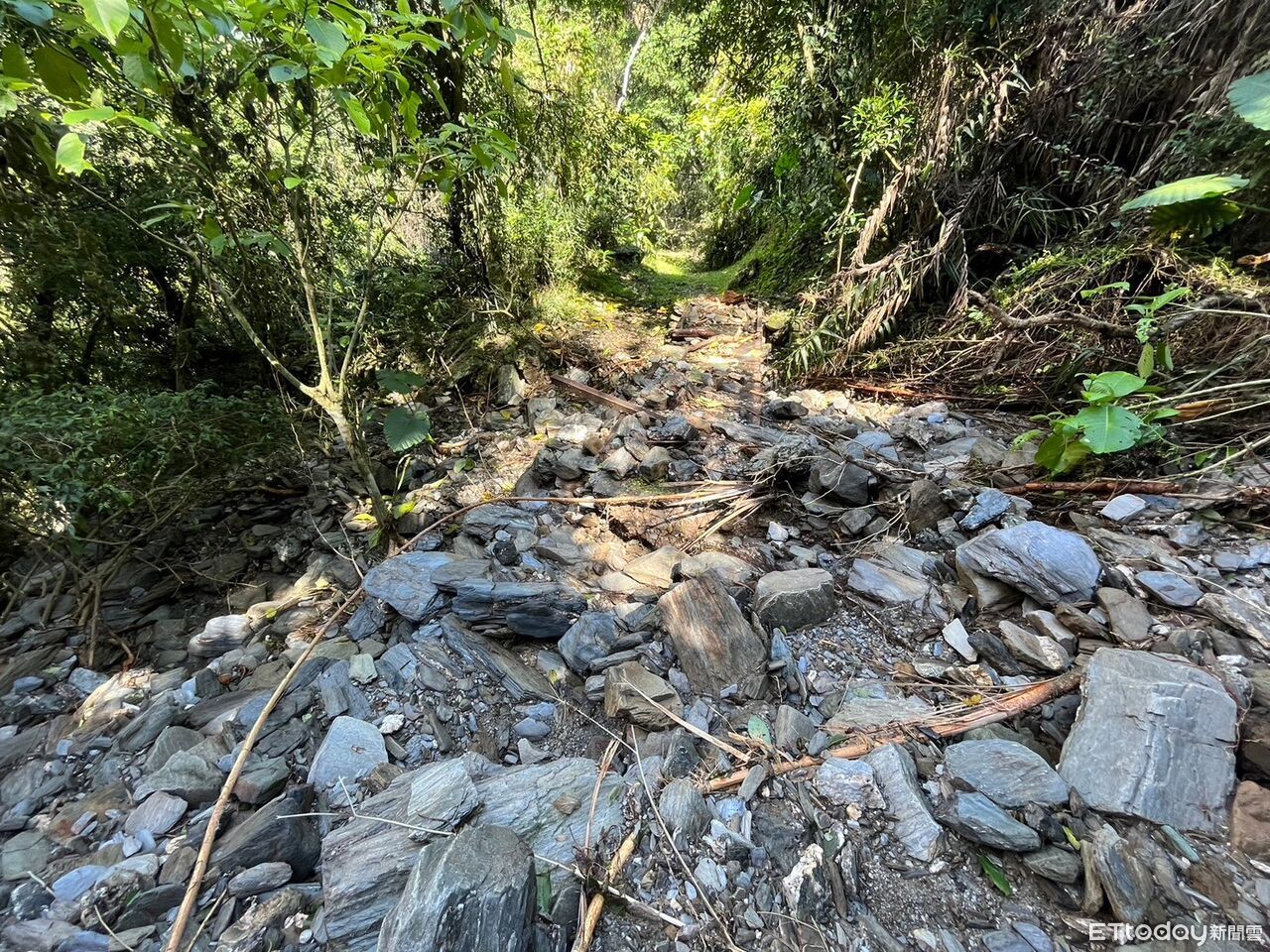 傳統工法手作步道！花蓮分署規劃修復鹿鳴吊橋受損路段