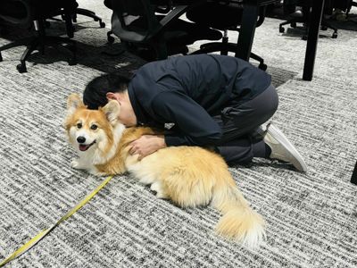 日本老闆帶頭「趴地吸狗」超忘我 網羨慕:還缺員工嗎?