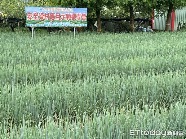 ▲「青蔥韌性穩產栽培技術擴散計畫」透過泰霖生物科技公司技轉農改場技術，將栽培技術擴散給所有蔥農。（圖／記者游瓊華翻攝）