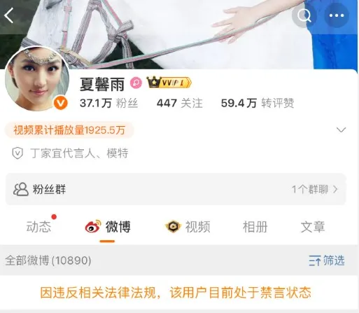 ▲夏馨雨陷入辱華風波，遭微博禁言。（圖／翻攝自微博）