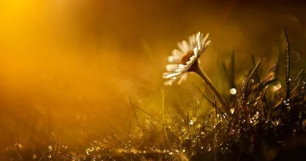 （示意圖／Pixabay）