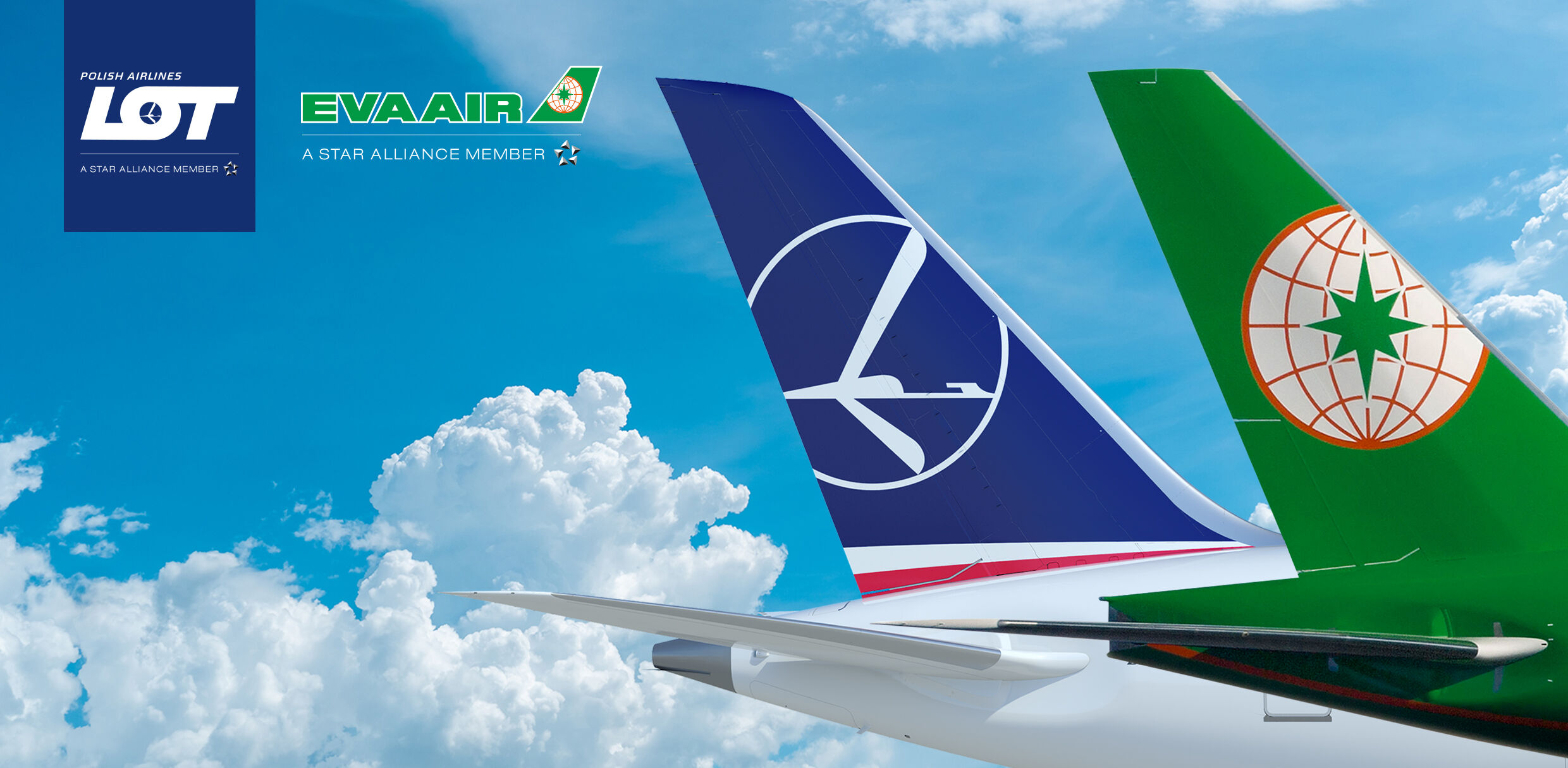▲▼長榮航空宣布與波蘭航空共用班號合作。（圖／長榮航提供）