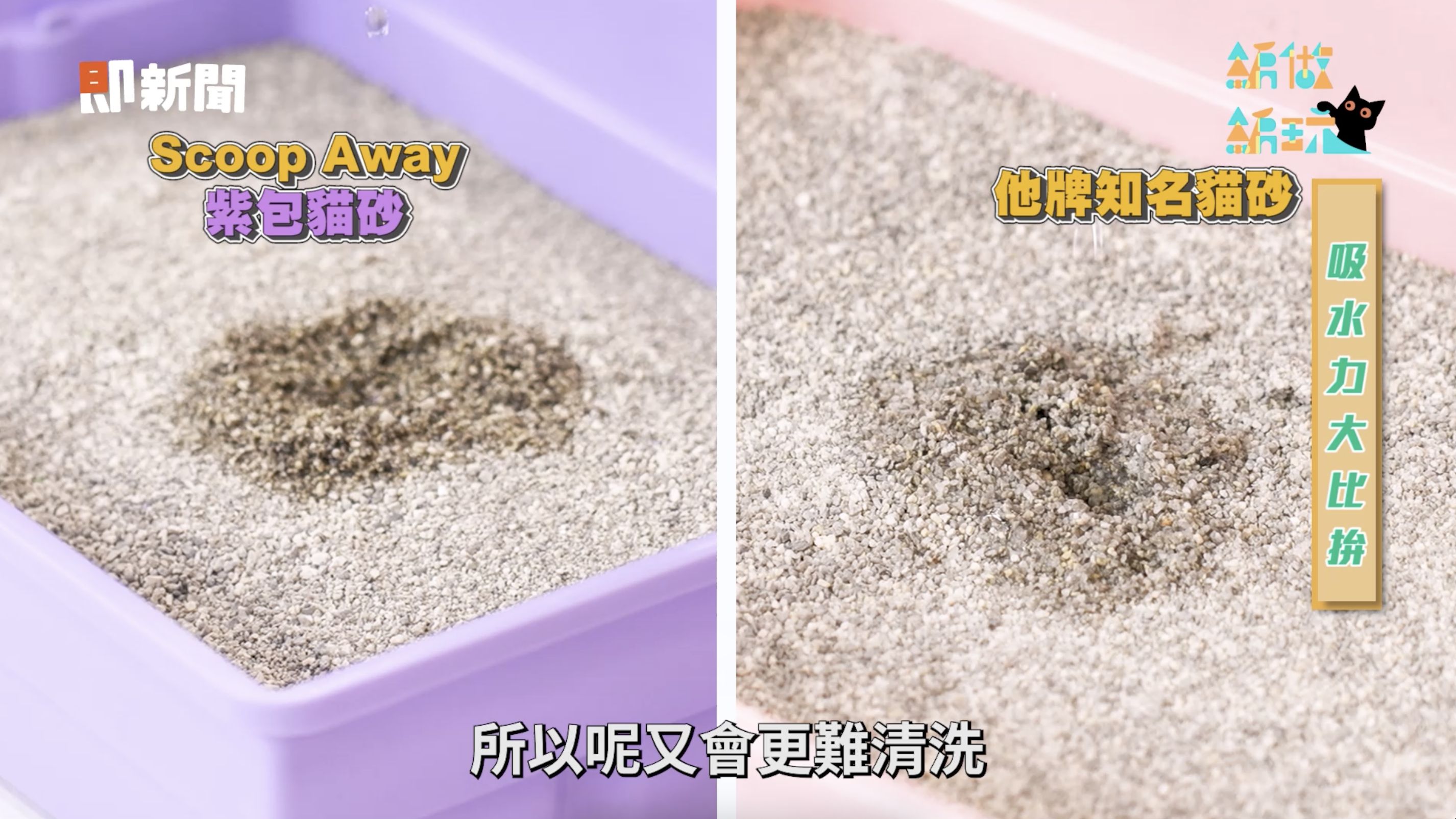 ▲▼Scoop Away,紫包,貓砂,實測,鏟屎,貓奴,送養,貓咪,公益,療癒。（圖／即新聞）