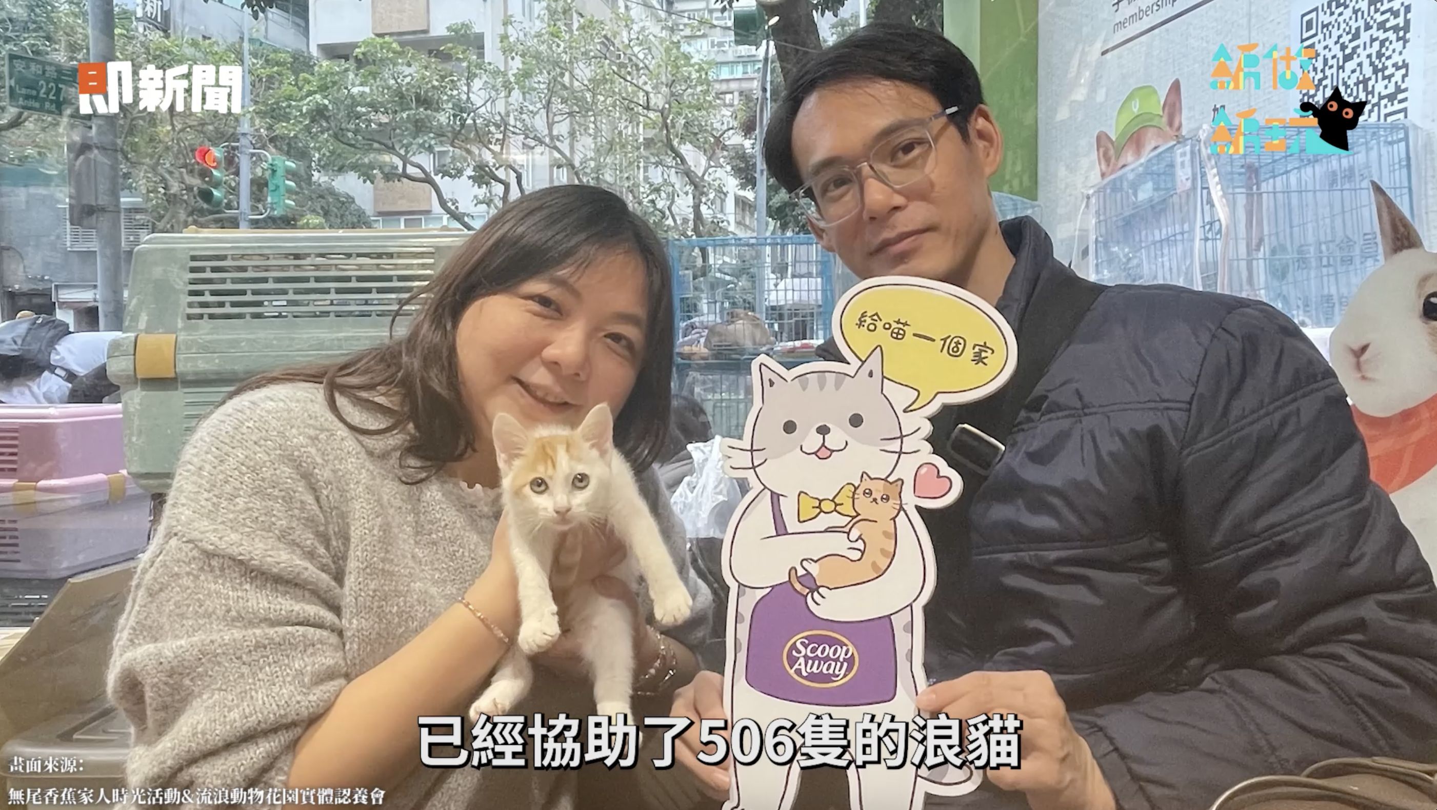 ▲▼Scoop Away,紫包,貓砂,實測,鏟屎,貓奴,送養,貓咪,公益,療癒。（圖／即新聞）