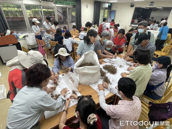▲▼門諾醫院癌症資源中心三十多位癌友首度踏上受創的中橫公路，參與原生植物復育任務。（圖／門諾醫院提供，下同）