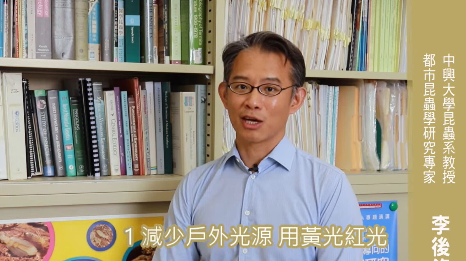 ▲▼大雨後白蟻滿天飛，專家李後鋒指出，算特化蟑螂「掉翅膀準備交配。（圖／都市昆蟲研究室提供）