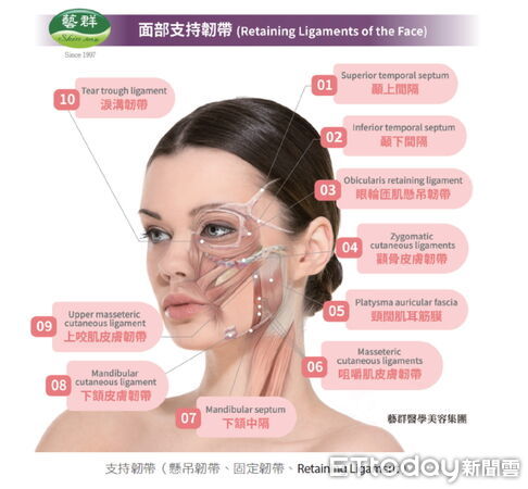 ▲藝群集團董事長王正坤醫師赴泰國曼谷參與IMCAS Asia 2025醫學美容大會，與國際專家交流韌帶拉提新技術。（記者林東良翻攝，下同）