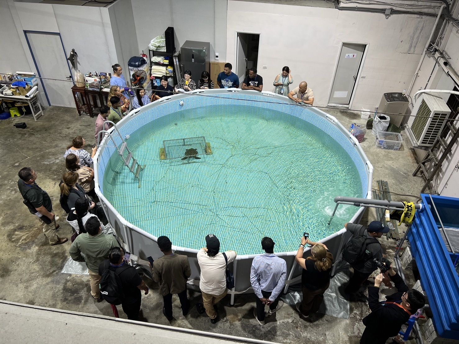 ▲新北推動海洋保育。（圖／新北市動保處提供）