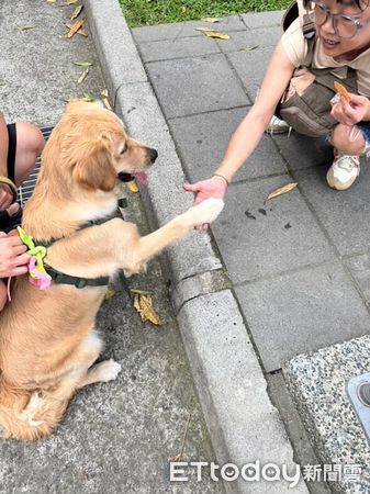 ▲。（圖／Threads@dun.errr提供，請勿隨意翻拍，以免侵權。）