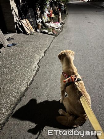 ▲。（圖／Threads@dun.errr提供，請勿隨意翻拍，以免侵權。）
