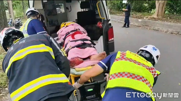 ▲自小貨車自撞路樹，駕駛受困車內獲救脫困。（圖／記者高堂堯翻攝）