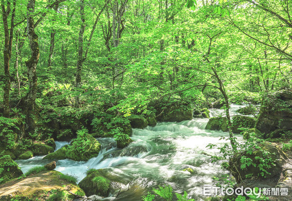 ▲▼日本青森奧入瀨溪，青森旅遊。（圖／記者蔡玟君攝）