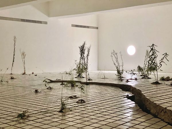 王煜松以2018年初的地震地景變化為靈感，創作《兩個福爾摩沙》裝置藝術，記錄了花蓮的傷痕。（王煜松提供）