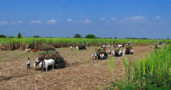 （示意圖／pixabay）