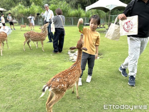 ▲▼  部落文化體驗 。（圖／記者翁伊森翻攝）